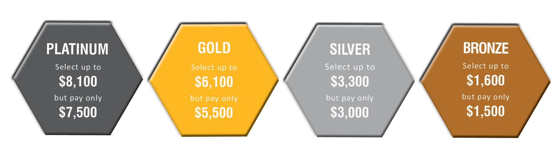 Levels Horizontal Partnership Levels Graphic